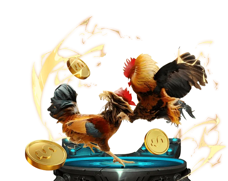 Dịch vụ hỗ trợ khách hàng 24/7 và bảo mật thông tin